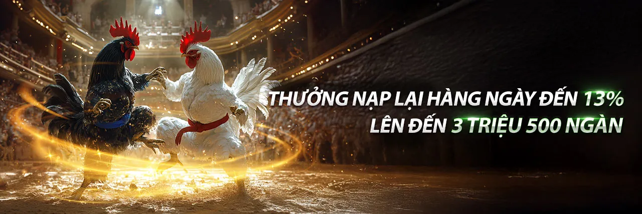 Tổng quan nền tảng cá cược ku3933 bet