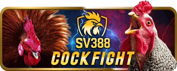 Bước 2: Điền thông tin đăng ký ku3933 bet